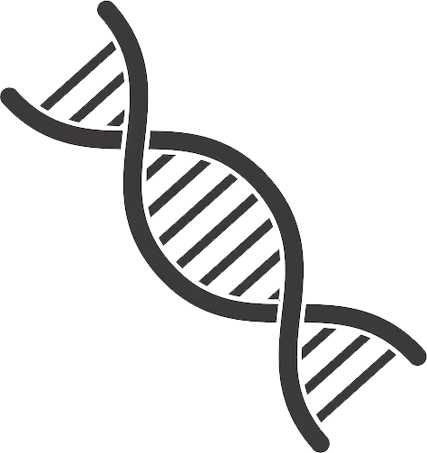 Hebbevu Genetics