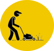 Plant & Manage