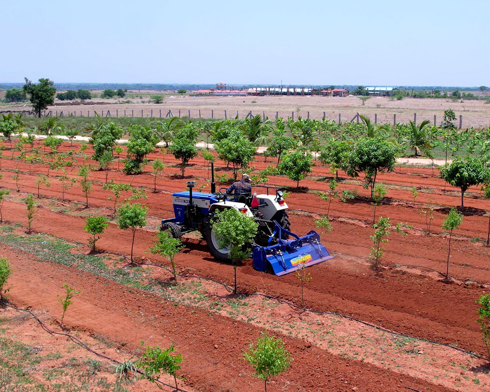 Sustainable Farming in Action